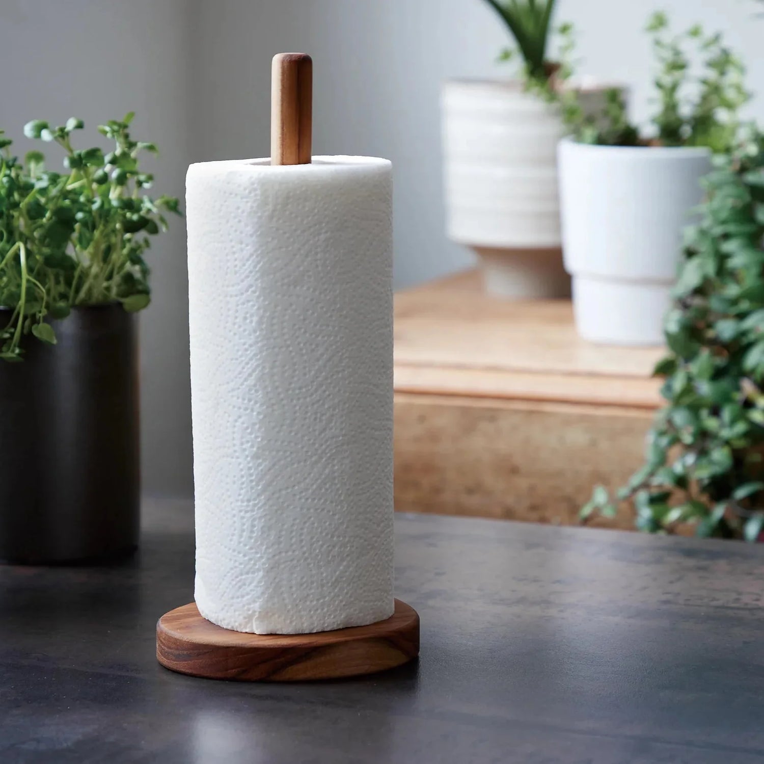 Kitchen roll holder in different designs [7 variants]