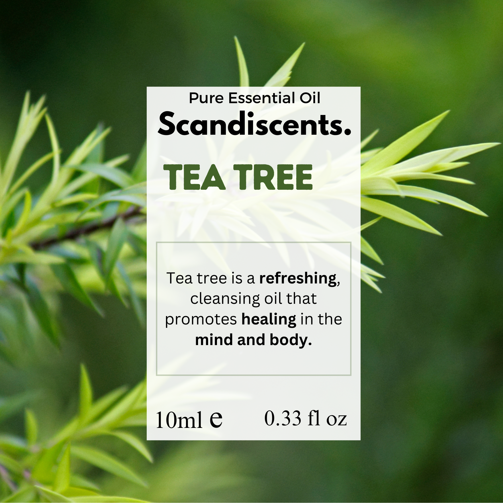 Tea Tree