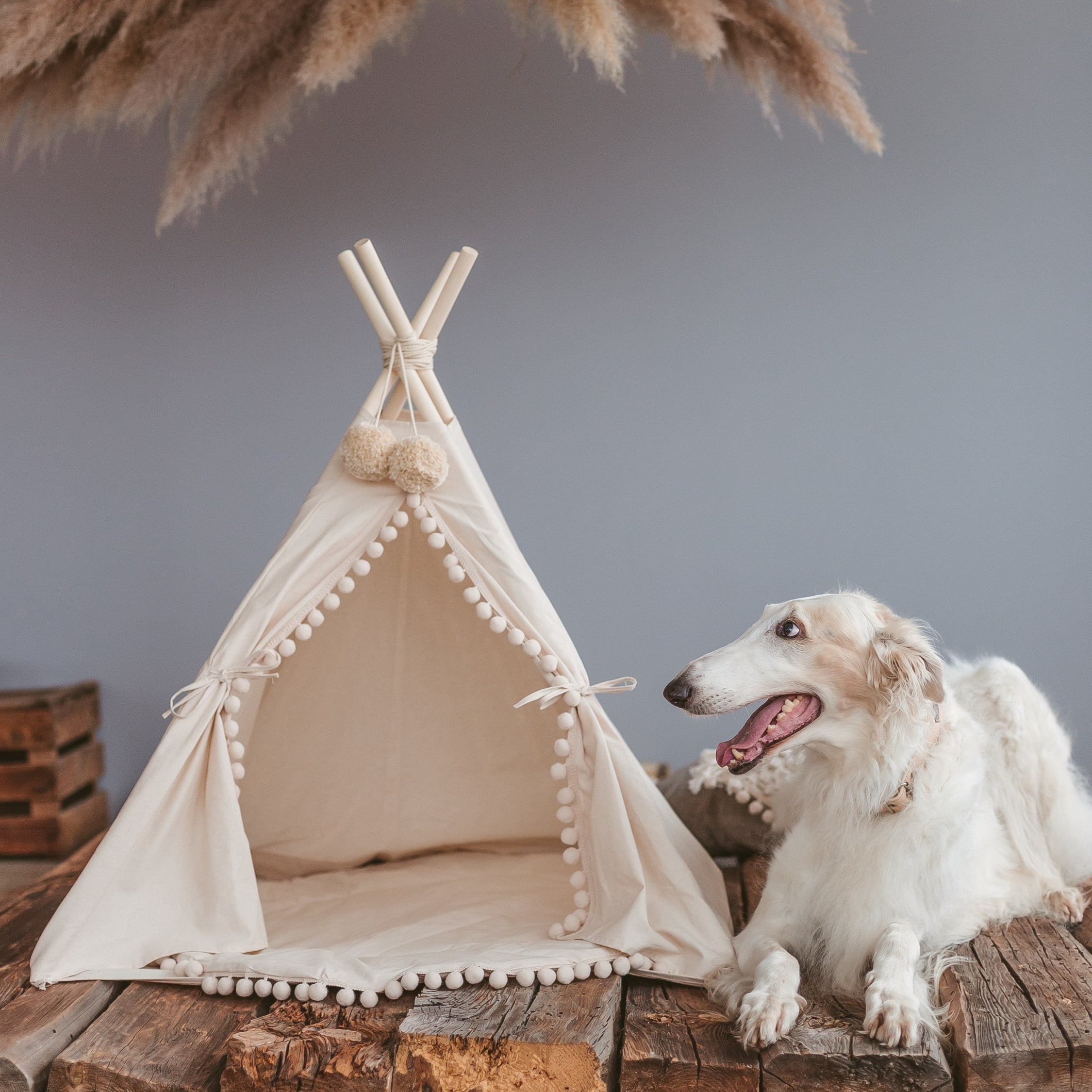 MINICAMP Large Dog Teepee Tent in Ecru With Pompoms – Size L