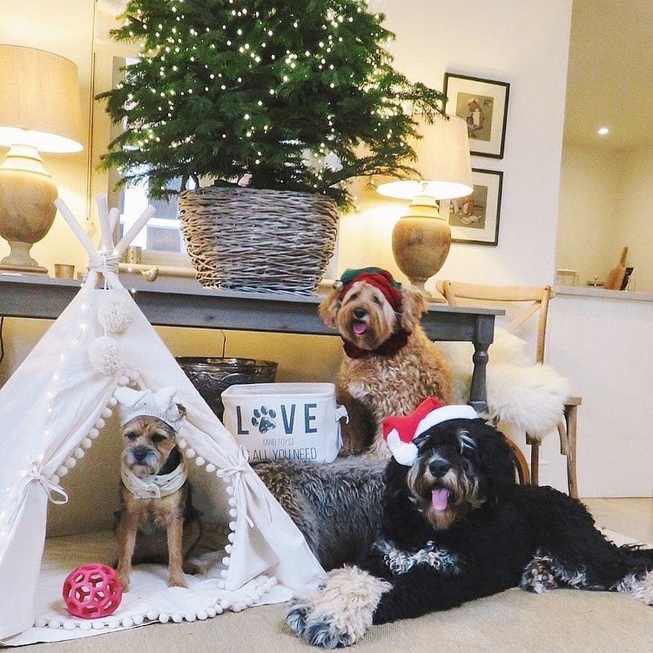 MINICAMP Large Dog Teepee Tent in Ecru With Pompoms – Size L