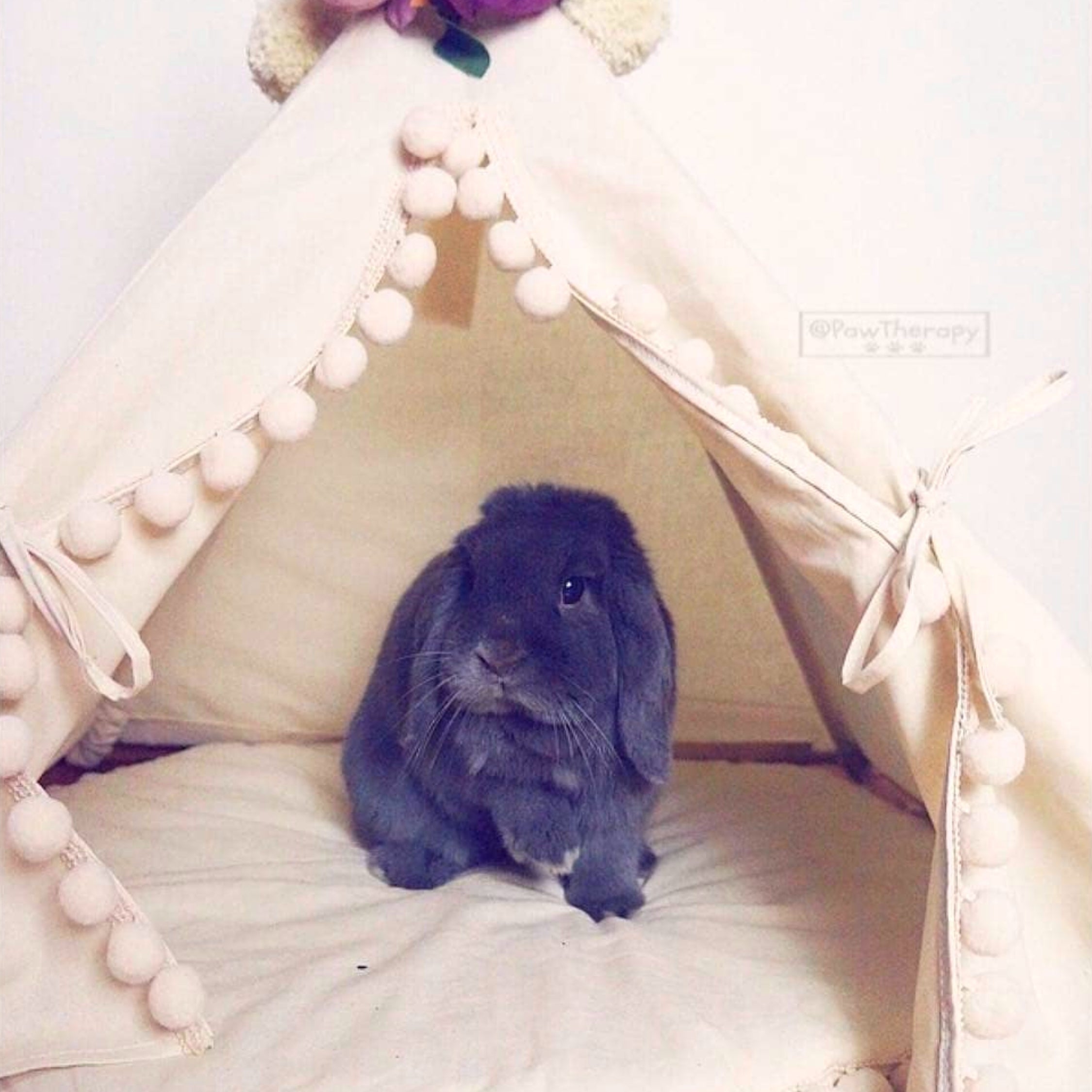 MINICAMP Rabbit Teepee, Bunny Bed in Ecru With Pompoms – Size XS