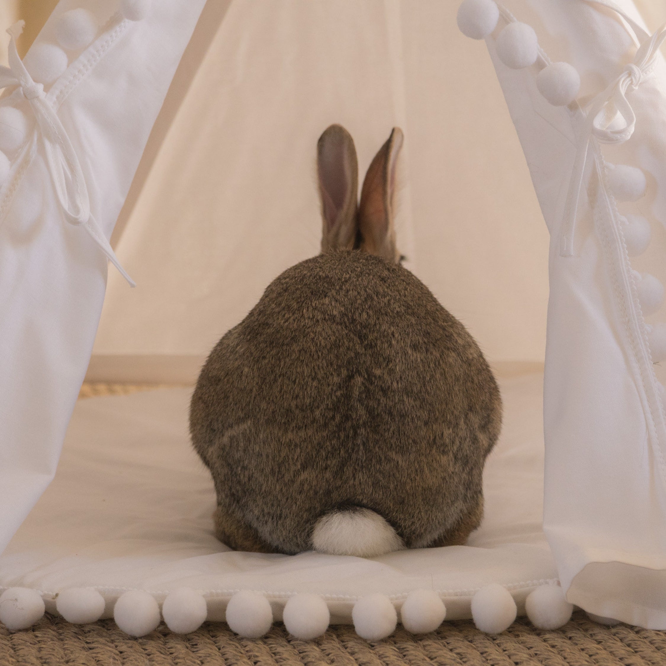 MINICAMP Rabbit Teepee, Bunny Bed in Ecru With Pompoms – Size XS