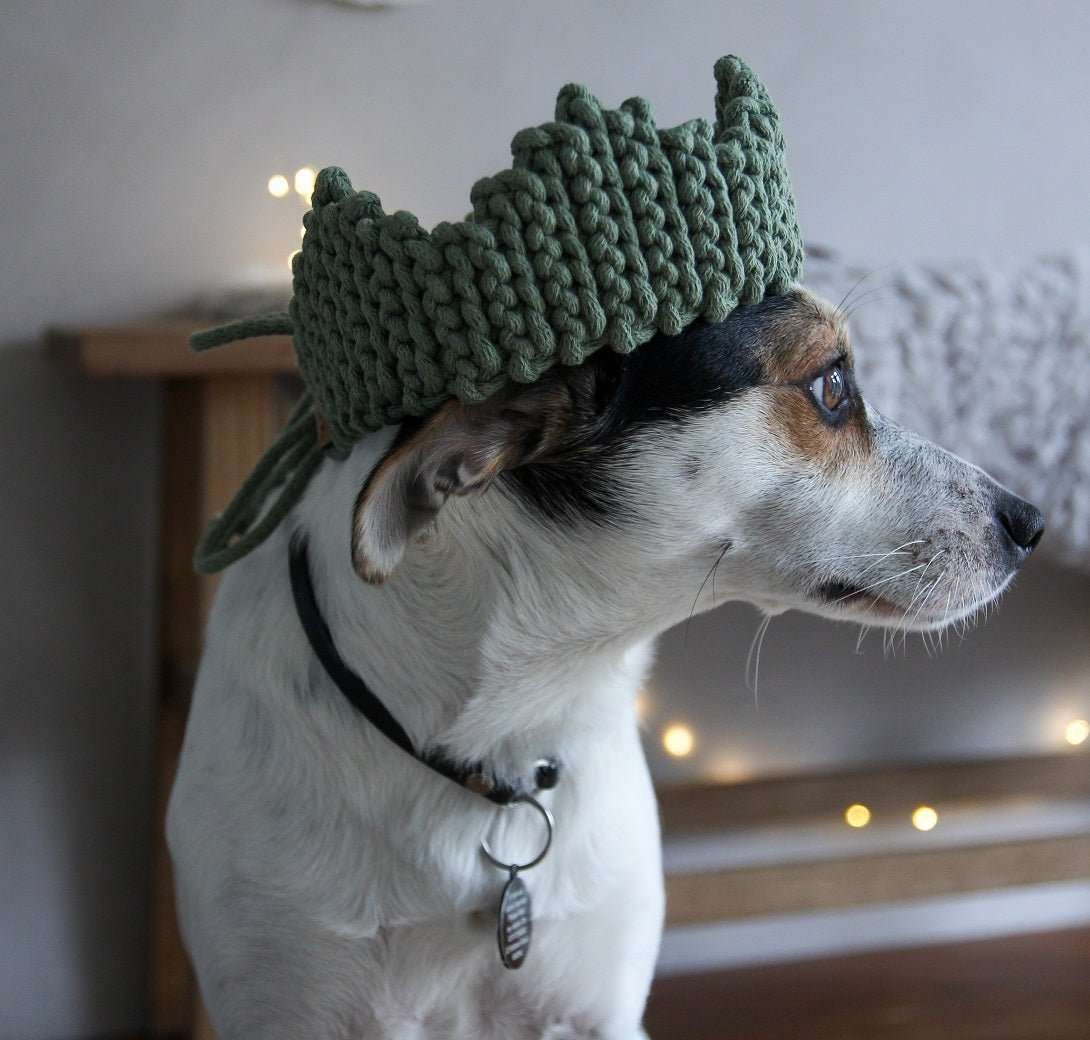 Crochet Crown | SAGE